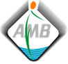Logo AMB.png