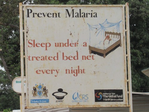 malaria.JPG