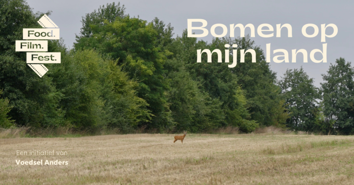 Bomen op mijn land (1)